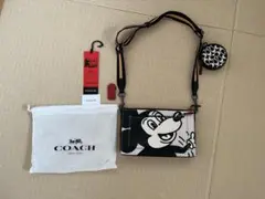 Item thumbnail for item 3a801971-348d-41df-b706-0e7c7f53c6ee