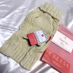 Item thumbnail for item 5a5f0d93-8320-4f4d-862b-b96fbf59a532