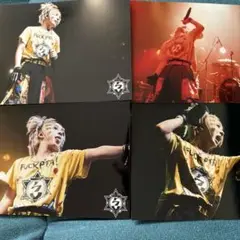 新品　ACME CHISA 生写真　ウェブポン