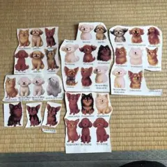ポーセラーツ　ポーセリンアート　転写紙　犬　使いさし