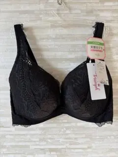 Item thumbnail for item 895b276d-d17e-42a1-b469-c2fb41d01116