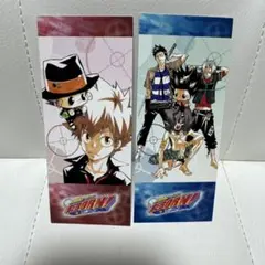 家庭教師ヒットマンREBORN！　非売品しおり　2種類セット