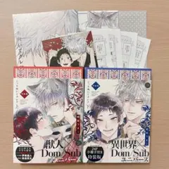 こっち向いてグレア特装版　アニメイト上下巻セット　小冊子　ペーパー
