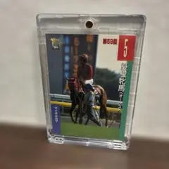 マイネエルザ 第59回 オークス出走馬 カード