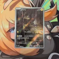 シママ