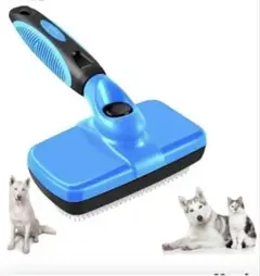 Item thumbnail for item a4191c3c-bab5-46a9-9700-ab34afddbbfe