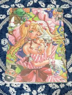 キャンディ・ラップ たもりただぢART BOOK