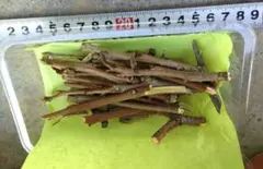 Item thumbnail for item 87689f63-6947-4bc2-9909-758bd246b5e6