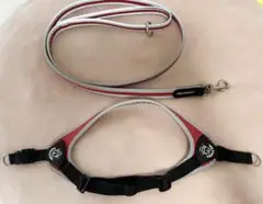 Item thumbnail for item 0ee203dc-b3c8-4af3-a1c0-49cfb24d07a3