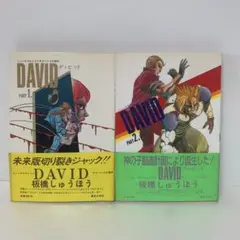 コミック/板橋しゅうほう/DAVID ディビッド　2冊セット 4-A-1565