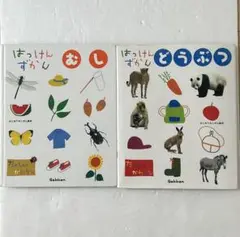 Item thumbnail for item 6dc90eba-f814-4d7a-a2c8-4ff65079e965