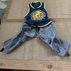Lee メッシュデニムつなぎ