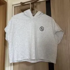 セットアップ
