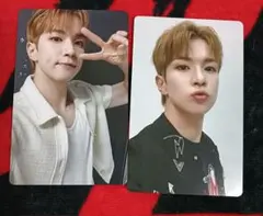 N.Flying [HIDE OUT]フェスン2枚セット