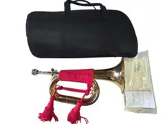 Item thumbnail for item 132e22c1-2ba7-48e1-8577-22b015bc9604