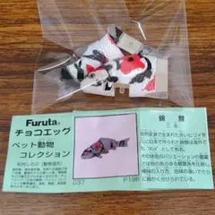Item thumbnail for item b4d0450f-ea95-4b7c-80a7-74239ebe171b