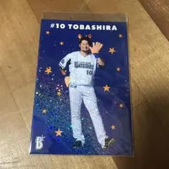 10 戸柱恭孝 ベイスターズ ポストカード スターマン