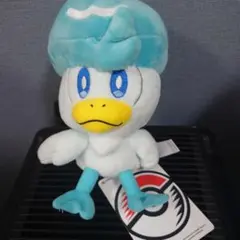ポケモンセンター　ぬいぐるみ　御三家　クワッス