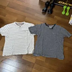 ハッシュパピーHush Puppies ボーダーシャツ　２枚　セット　お得