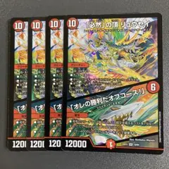 必然の頂 リュウセイ 4枚