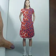ジル、サンダーの膝丈スカート