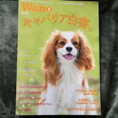 キャバリア白書