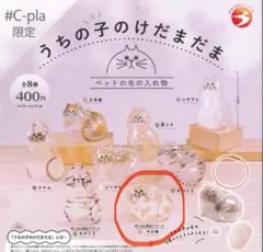 【正規品】#C-pla限定　うちの子のけだまだま　サビ猫