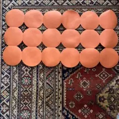 Item thumbnail for item cff86c8f-53d9-4dd5-bfe0-20155362f474