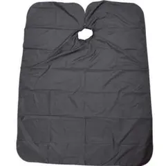 Item thumbnail for item 189005c0-69e0-43d8-b8d0-19466fc926e8