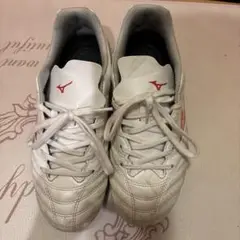 Mizuno モナルシーダ NEO 23cm