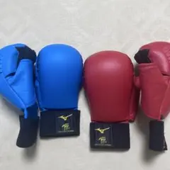 伝統空手　拳サポーター　ミズノ赤青　M