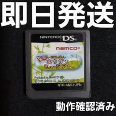 【普通郵便】 右脳の達人 爽快!まちがいミュージアム DS ソフトのみ