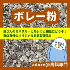 Item thumbnail for item ccca1598-ddc7-4f98-ac02-7ee020c48b46