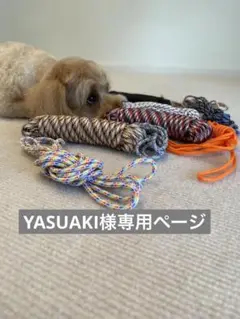 ☆*:.。. YASUAKI様専用ページ.。.:*☆