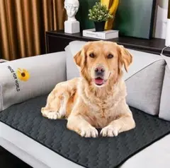 【再販】冷感マット　敷マット　ダークグレー　快眠　ペット　犬　猫　ひんやり　夏