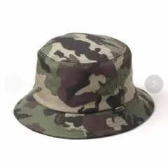 Item thumbnail for item 58c104af-9c02-48d8-b7e0-961ae1fd253f