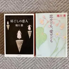 恋せども、愛せども 肩ごしの恋人 唯川恵／著 恋愛小説