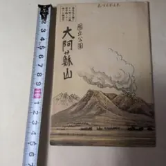 Item thumbnail for item 2c08c79b-f495-46e6-9c0b-af7ff77f592e