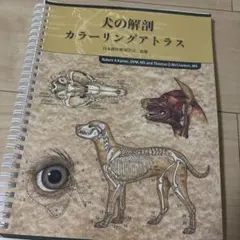 犬の解剖 カラーリングアトラス