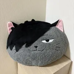 ハイキュー アニマルBIGぬいぐるみ2 クロオネコ