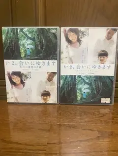 いま、会いにゆきます~スタンダードエディション・あの６週間の奇蹟~DVD2枚