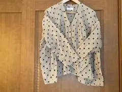 Item thumbnail for item 5c095038-426c-4c10-a52d-850838455cf0