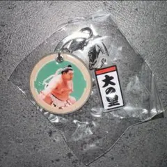 大の里　ダブルチャーム メタル キーホルダー