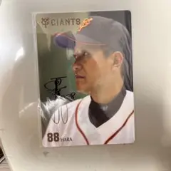 読売ジャイアンツ 原辰徳 下敷き 88