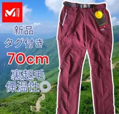 Item thumbnail for item 6a61a798-041a-4ec4-94ce-8b2db20ca0bb