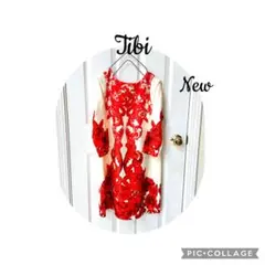 未使用　tibi フラワープリント お嬢様ワンピース2