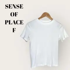 夏物大幅セール★　SENSE OF PLACE リブニット 半袖カットソーF白