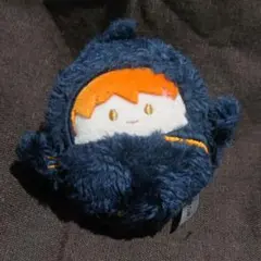くるみたぴぬい 日向翔陽
