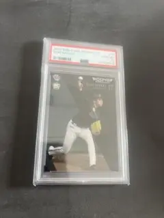 Item thumbnail for item 197027ad-ffa3-430b-aaed-e40b4d312460