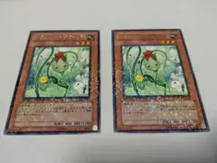遊戯王　ナチュル・ローズウィップ DT04-JP021　2枚